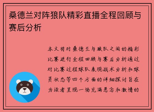 桑德兰对阵狼队精彩直播全程回顾与赛后分析